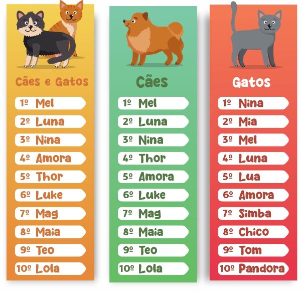 Confira a lista dos nomes mais populares de cães e gatos em 2021